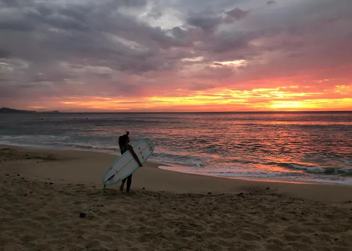 Aloha Surf * San José del Cabo