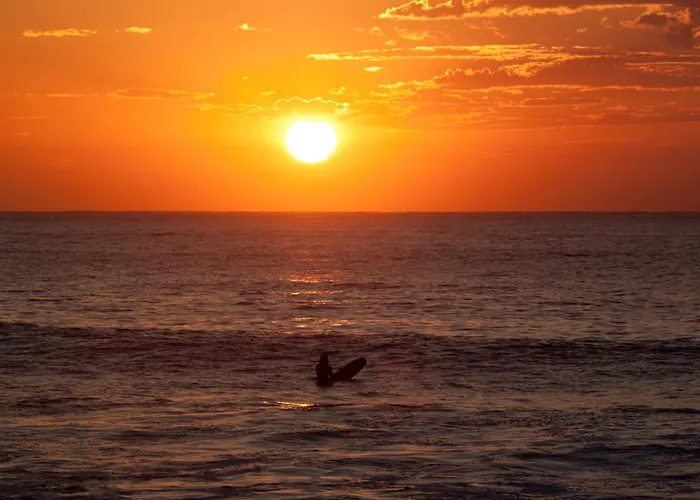 Aloha Surf Hostel *